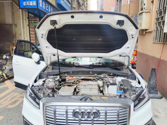 [深圳·粤B] 二手奥迪奥迪Q2L e-tron2019款 Q2L e-tron 纯电智酷型