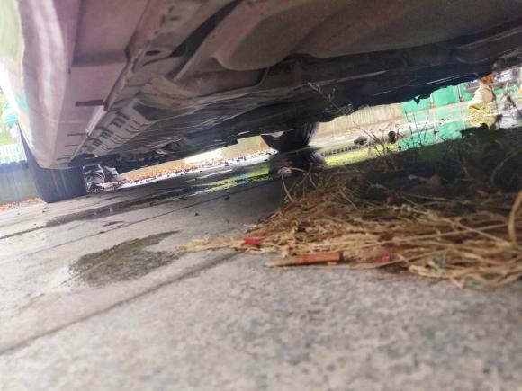 [苏州·浙B] 二手英菲尼迪英菲尼迪G系2010款 G25 Sedan 运动版