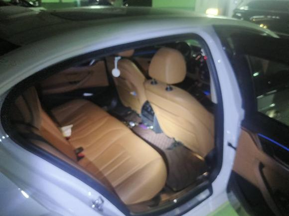 [上海·沪A] 二手宝马宝马5系新能源2019款 530Le 豪华套装