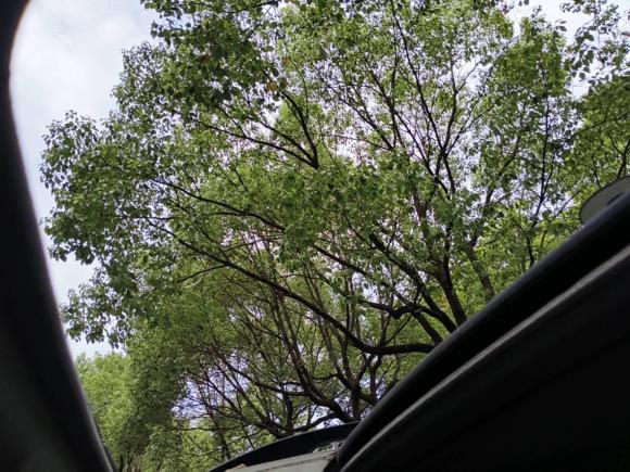 [上海·沪F] 二手丰田RAV4荣放2009款 2.4L 自动豪华版