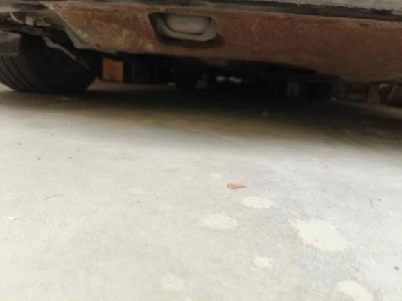 [青岛·鲁B] 二手本田雅阁2008款 2.0L EX