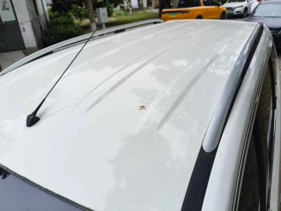 [上海·沪F] 二手启辰启辰M50V2017款 1.6L XL CVT豪华版