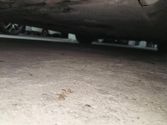 [温州·浙C] 二手宝马宝马5系2012款 523Li 豪华型