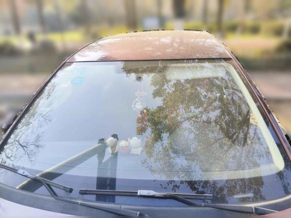 [嘉兴·浙F] 二手大众朗逸2013款 1.6L 自动风尚版