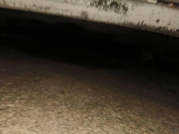 [济南·鲁A] 二手大众Polo2014款 1.4L 自动舒适版