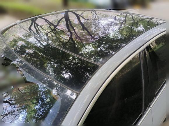 [无锡·苏B] 二手蔚来蔚来EC62020款 430KM 运动版