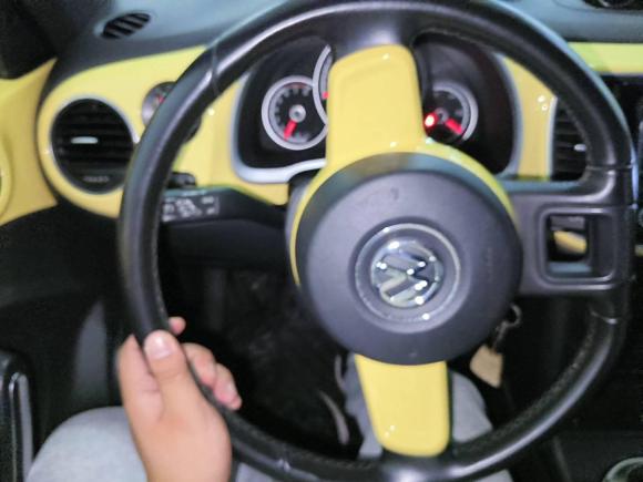 [芜湖·皖B] 二手大众甲壳虫2013款 1.2TSI 舒适型