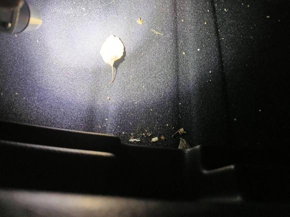 [杭州·浙A] 二手奔驰奔驰A级2020款 A 200 L 运动轿车