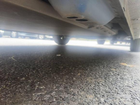 [杭州·浙A] 二手欧拉欧拉黑猫2021款 301km 基础型