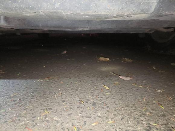 [上海·川Q] 二手吉利汽车帝豪GL2019款 1.4T CVT精英智享型