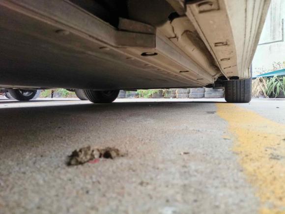 [深圳·粤A] 二手比亚迪比亚迪e22021款 舒适型