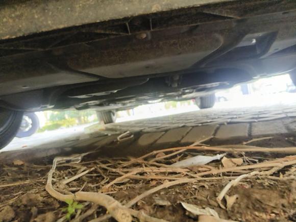 [青岛·鲁B] 二手大众高尔夫2020款 挚爱版 280TSI DSG舒适型