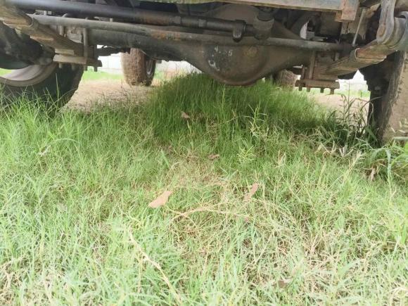 [武汉·鄂A] 二手北京汽车制造厂212经典2019款 1.5T 方门 国V