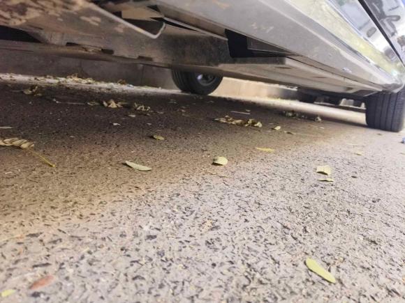 [西安·陕A] 二手比亚迪秦PLUS2023款 冠军版 EV 420KM领先型