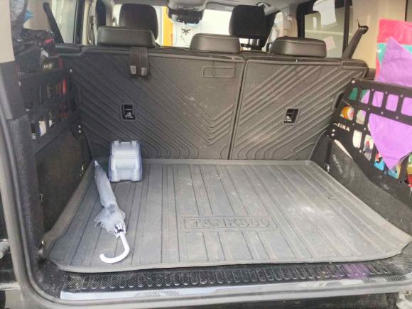 [上海·鲁D] 二手坦克坦克3002024款 2.0T 征服者