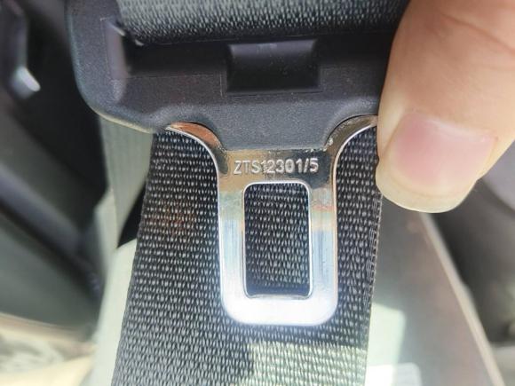 [杭州·浙E] 二手比亚迪海豚2023款 420km 时尚版