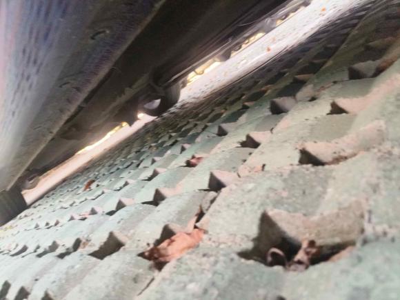 [上海·皖P] 二手红旗红旗H52019款 30TD 灵动版