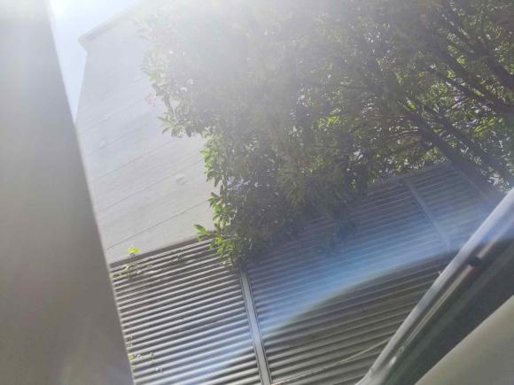 [上海·沪A] 二手名爵名爵6新能源2019款 50T Pro