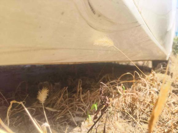 [杭州·浙G] 二手广汽传祺传祺GA42018款 150N 手动豪华版