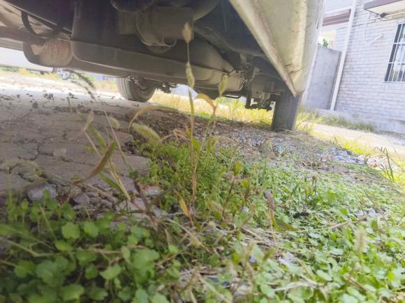 [上海·皖N] 二手金杯金杯快运2018款 2.0L标准型V19