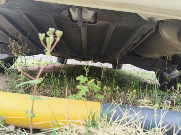 [青岛·鲁B] 二手本田思域2012款 1.8L 自动豪华版