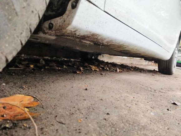 [合肥·皖A] 二手吉利汽车帝豪GL2019款 1.4T 手动精英智享型