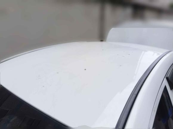 [武汉·鄂A] 二手吉利汽车帝豪新能源2019款 EV500 进取型标准续航版