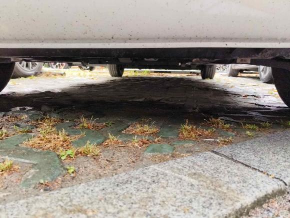 [上海·沪A] 二手上汽大通MAXUS大拿V12024款 V1 短轴低顶 多功能版（51kWh）