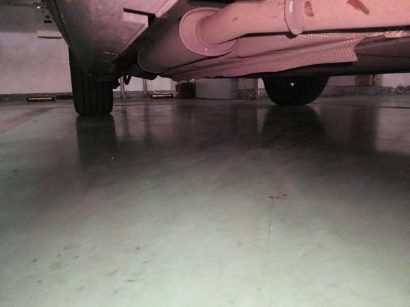 [上海·沪A] 二手比亚迪唐新能源2021款 DM-i 112KM 尊荣型