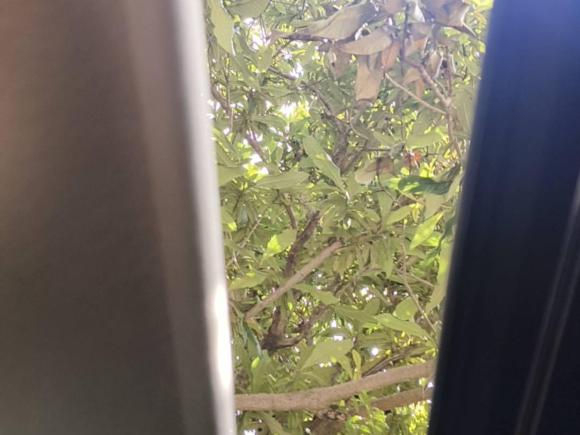 [金华·浙G] 二手日产骐达TIIDA2021款 1.6L CVT智行版