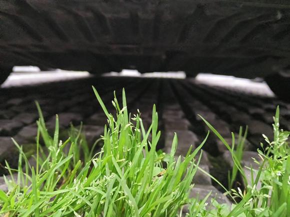 [南昌·赣A] 二手日产轩逸2020款 改款 1.6L XL CVT悦享版