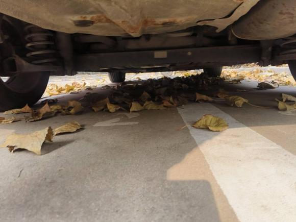 [青岛·鲁B] 二手起亚起亚K32013款 1.6L 自动GL