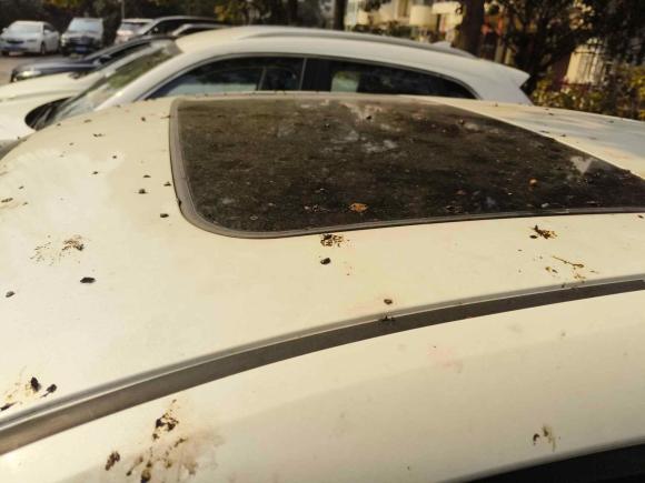 [上海·皖A] 二手丰田丰田C-HR2020款 2.0L 领先版