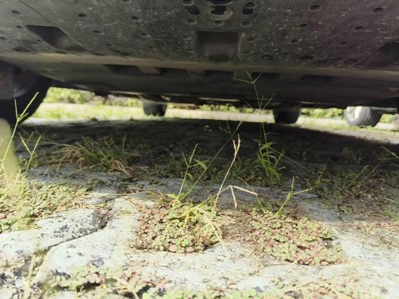 [苏州·苏U] 二手凯迪拉克凯迪拉克CT52022款 28T 尊贵型