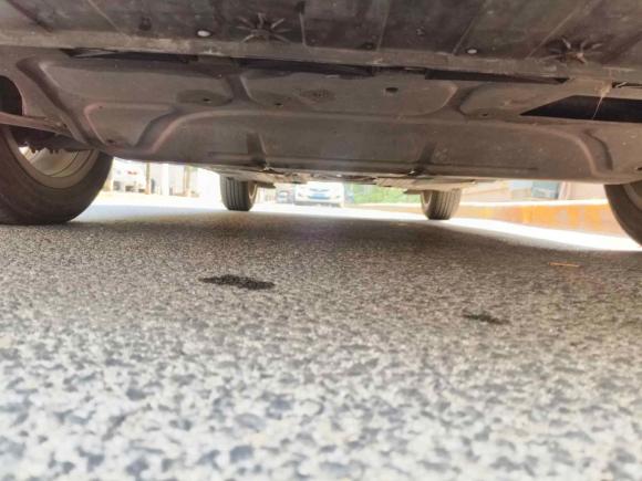 [青岛·鲁B] 二手斯柯达晶锐2014款 1.4L 自动晶灵版