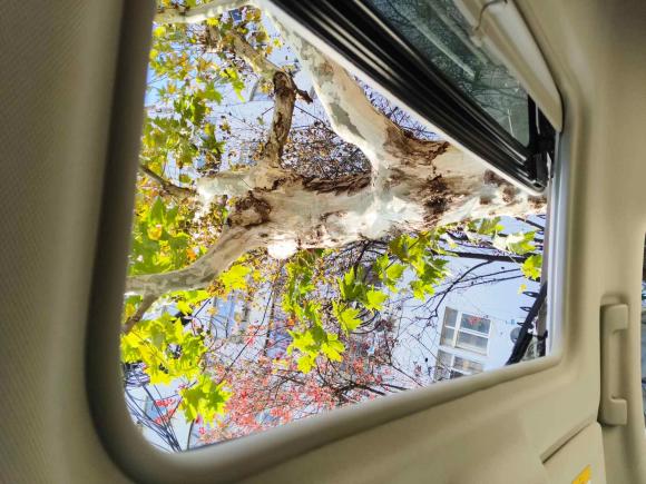 [上海·沪B] 二手别克别克GL82014款 3.0L XT豪华商务旗舰版