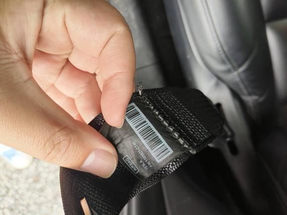 [嘉兴·浙A] 二手特斯拉Model 32021款 标准续航后驱升级版 3D6