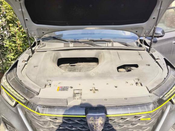 [嘉兴·浙F] 二手荣威荣威RX52020款 PLUS 300TGI 自动Ali国潮旗舰版