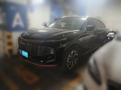 [济南·鲁A] 哈弗哈弗神兽2022款 1.5T 智享版