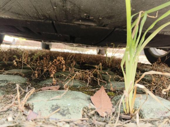 [湖州·苏U] 二手丰田雷凌2022款 双擎 1.8H E-CVT豪华版