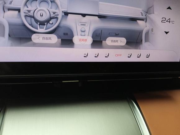 [上海·沪A] 二手欧拉欧拉闪电猫2022款 555km 尊贵版