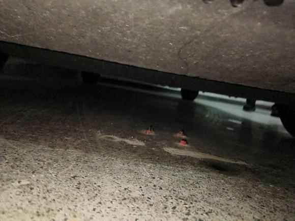 [济南·鲁A] 二手大众Polo2021款 Plus 1.5L 自动炫彩科技版