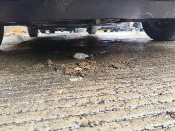 [上海·沪A] 二手福特嘉年华2013款 三厢 1.5L 手动风尚型