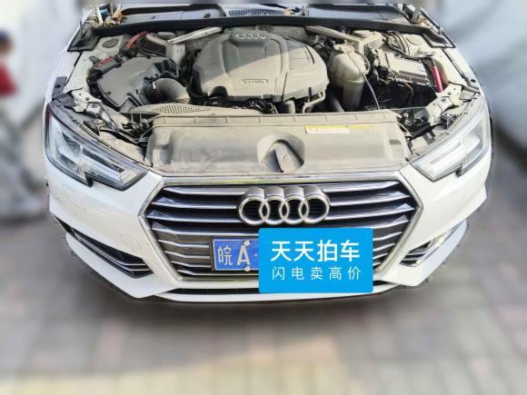 [合肥·皖A] 二手奥迪奥迪A4L2019款 40 TFSI 进取型 国VI