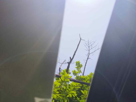 [金华·浙G] 二手马自达马自达3 昂克赛拉2020款 2.0L 自动质雅版