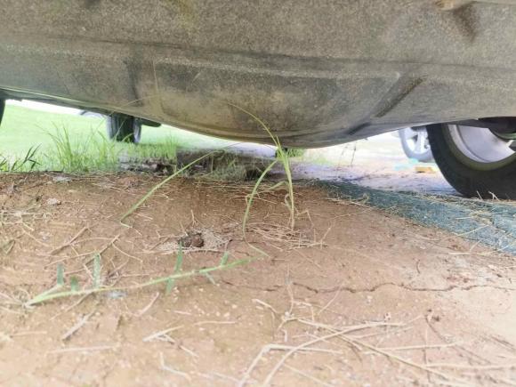 [西安·陕U] 二手宝骏宝骏5302018款 1.5T 手动豪华型 国V