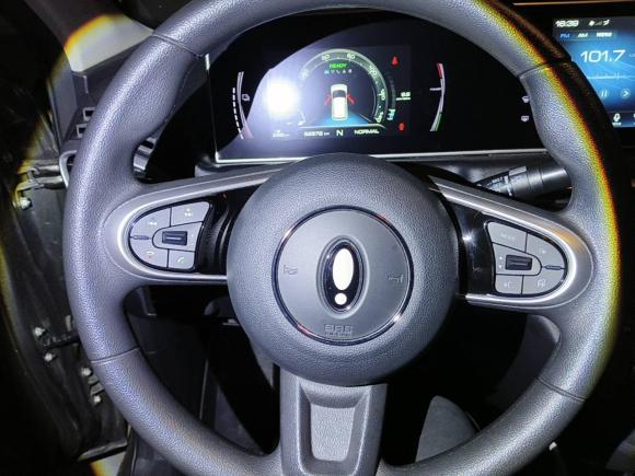 [上海·沪A] 二手欧拉欧拉白猫2020款 360km 豪华型