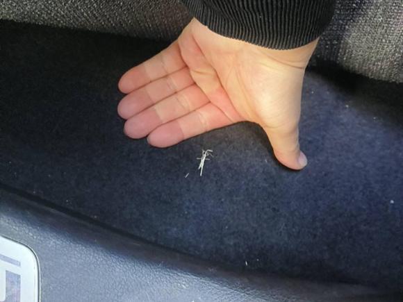 [西安·陕A] 二手比亚迪宋PLUS新能源2021款 DM-i 110KM 旗舰PLUS