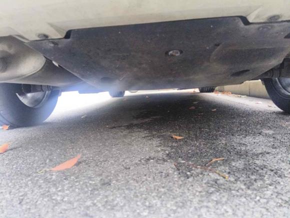 [上海·沪B] 二手日产轩逸2020款 1.6L TOP CVT奢享版