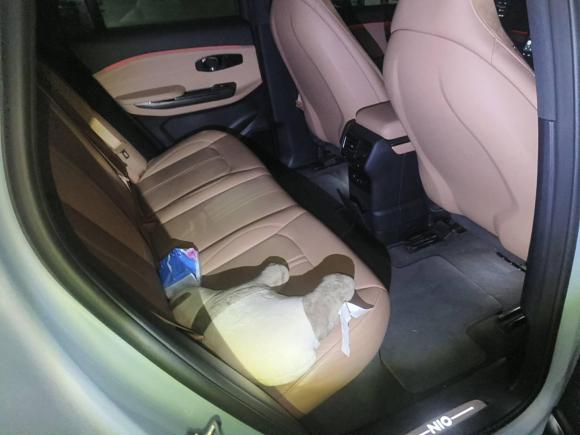 [南京·苏A] 二手蔚来蔚来ES62019款 430KM 性能版